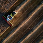 Black Sea Strikes and El Niño Threat Collide to Push Grain Prices Higher