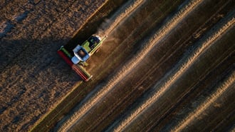 Black Sea Strikes and El Niño Threat Collide to Push Grain Prices Higher