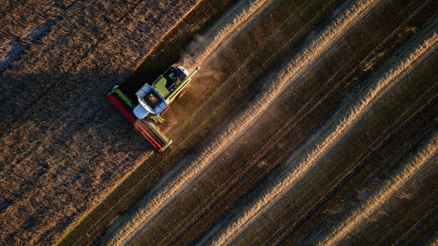 Black Sea Strikes and El Niño Threat Collide to Push Grain Prices Higher
