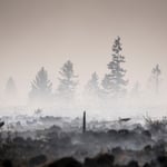 Belgium Wildfire Threatens German Border as Greek Blaze Hits Athens Airport