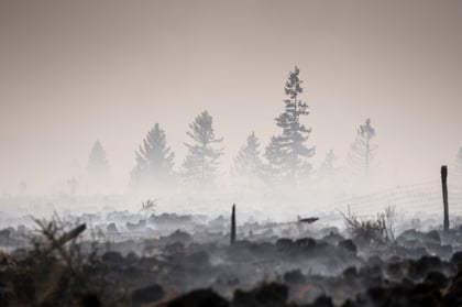 Belgium Wildfire Threatens German Border as Greek Blaze Hits Athens Airport