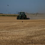 European Drought Withering Crops From Dutch Potatoes to Italian Grapes