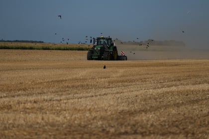 European Drought Withering Crops From Dutch Potatoes to Italian Grapes