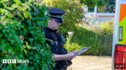 Ann Widdecombe murder probe: What we know so far