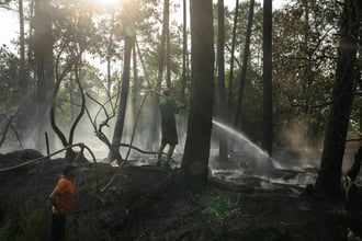 British Tourists Land in Bordeaux as Wildfires Force 220,000 to Flee