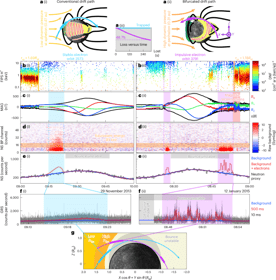 Mercury Hosts Dynamic Electron Radiation Belt Driven by Solar Wind