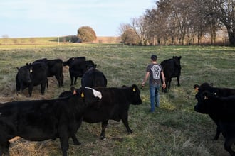 Trump Executive Order Lets Ranchers Process Beef, Bypassing Big Meat