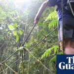Malaysia Bans Viral Hiking Trend After Rescues Spike 30 Percent