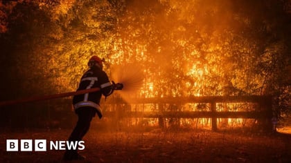 France Wildfires Trigger Crisis Meeting as Bordeaux Faces Evacuation Threat