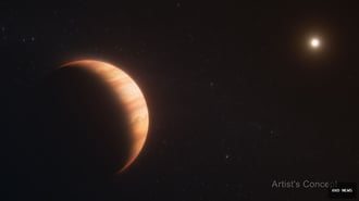 Webb heat data shows how a white dwarf planet survived