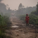 200,000 Hectares Burn as Indonesian Wildfires Choke Southeast Asia