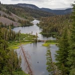 Trump Administration Moves to Rescind Roadless Rule on 45 Million Forest Acres