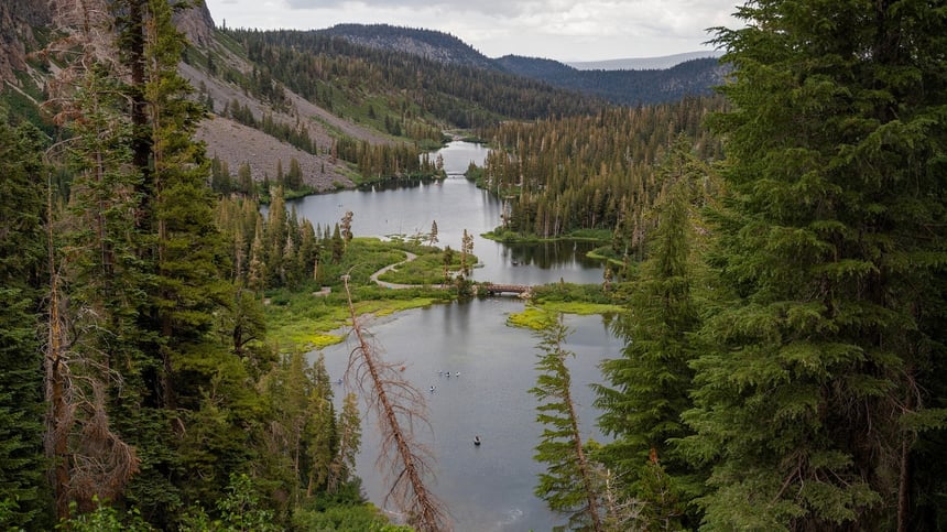 Trump Administration Moves to Rescind Roadless Rule on 45 Million Forest Acres