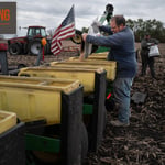 Seed Patents Funnel Farm Subsidies Into Corporate Giants' Pockets