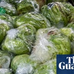 Foodborne Illness Outbreaks Persist as US Safety Law Faces 15-Year Delay