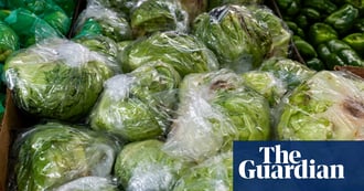 Foodborne Illness Outbreaks Persist as US Safety Law Faces 15-Year Delay