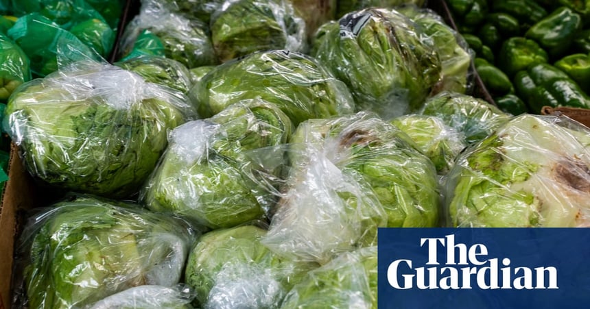 Foodborne Illness Outbreaks Persist as US Safety Law Faces 15-Year Delay