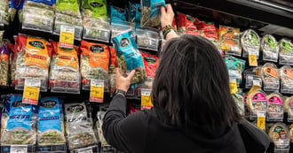 Cyclospora Outbreak Surges Past 1,900 Cases as FDA Targets Iceberg Lettuce
