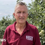 Heatwave Farming: UK Growers Spray Clay on Apples to Prevent Boiling
