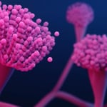 Invasive mold disease drives high ICU care and death rates, CDC finds