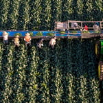 Arizona's 30% Colorado River Water Cuts Threaten National Food Supply