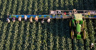 Arizona's 30% Colorado River Water Cuts Threaten National Food Supply