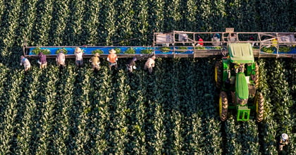 Arizona's 30% Colorado River Water Cuts Threaten National Food Supply