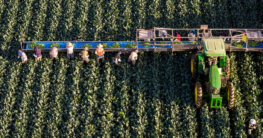 Arizona's 30% Colorado River Water Cuts Threaten National Food Supply