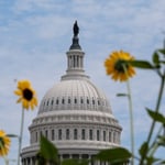 Senate funding deal averts shutdown, delays Trump federal grants rule