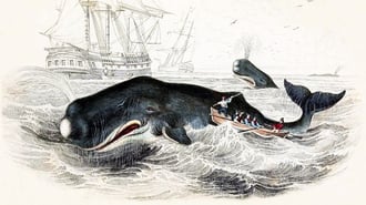 Moby Dick at 175: How Melville Reframed Humanity's War on Whales