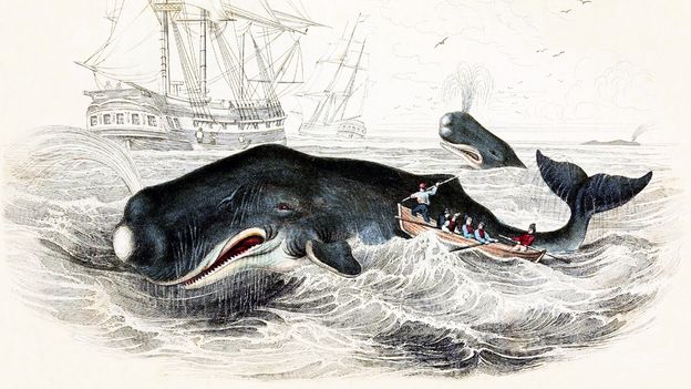 Moby Dick at 175: How Melville Reframed Humanity's War on Whales