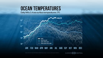 Pacific El Niño Shatters Daily Warm Water Records, Scientists Stunned