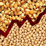 US Farm Margins Squeeze Without Geopolitical Shocks, USDA Warns