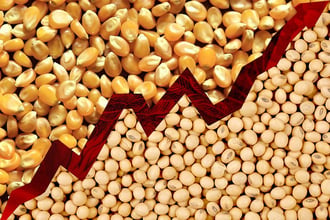 US Farm Margins Squeeze Without Geopolitical Shocks, USDA Warns