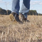 Australia Travel Alert: Bushfire Risks Rise Across Most States