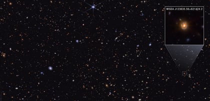 Webb Telescope Reveals Little Red Dots Are Black Holes in a Temporary Phase