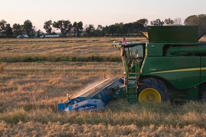 17% of Global Farmers Now Use Generative AI for Crop Planning, McKinsey Finds
