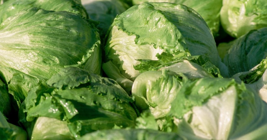 11,000 Cyclospora Infections Spark Wave of Foodborne Illness Outbreaks
