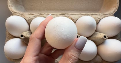 FDA Slaps Highest Risk Label on Salmonella Egg Recall Covering 19 Million Eggs