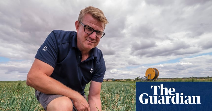 Norfolk Onion Yields Plunge 35% as Drought Reshapes British Farming